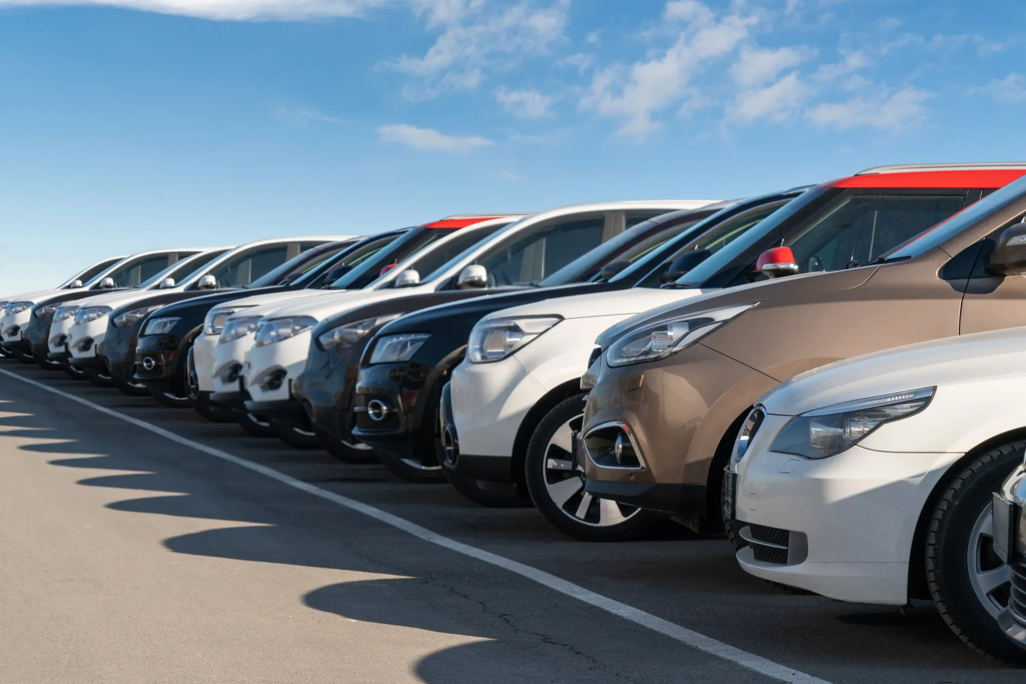 Car exhibition at a second-hand car dealership.